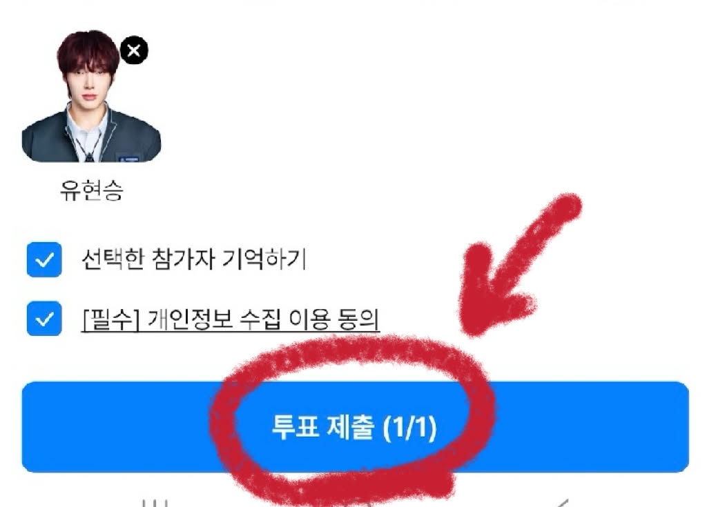 Submit vote (EN)